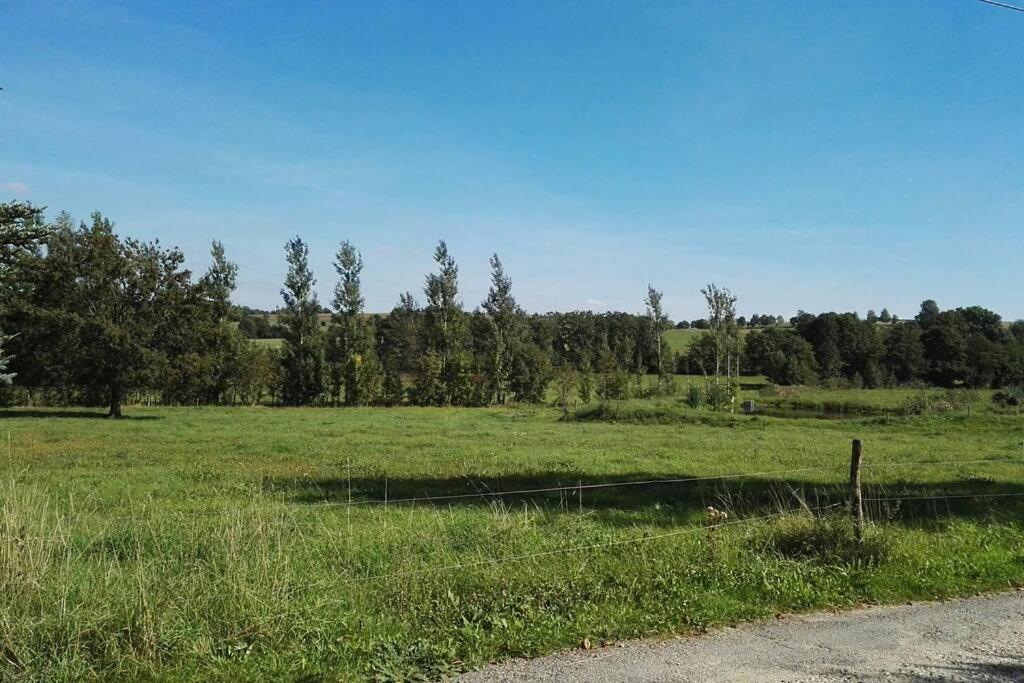 Ferienwohnung In Mittelsaida Grosshartmannsdorf Eksteriør bilde